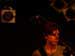 Reincke and Band